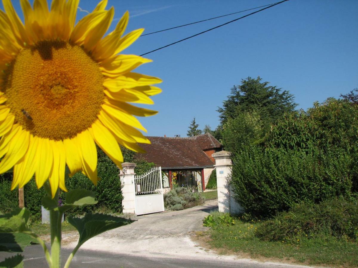 Le Clos Du Petit Marray Bed and Breakfast Chambourg-sur-Indre Esterno foto